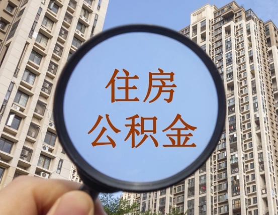 澳门退休后查不到公积金明细了吗（退休后公积金查询不到原因）